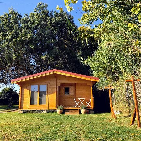 Woodhouse Villa Sao Pedro do Estoril ภายนอก รูปภาพ