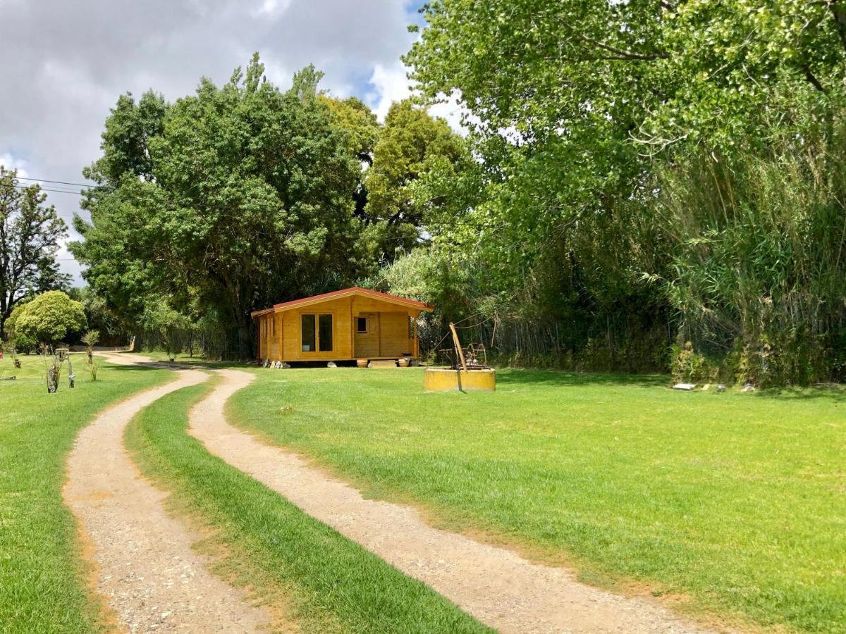 Woodhouse Villa Sao Pedro do Estoril ภายนอก รูปภาพ